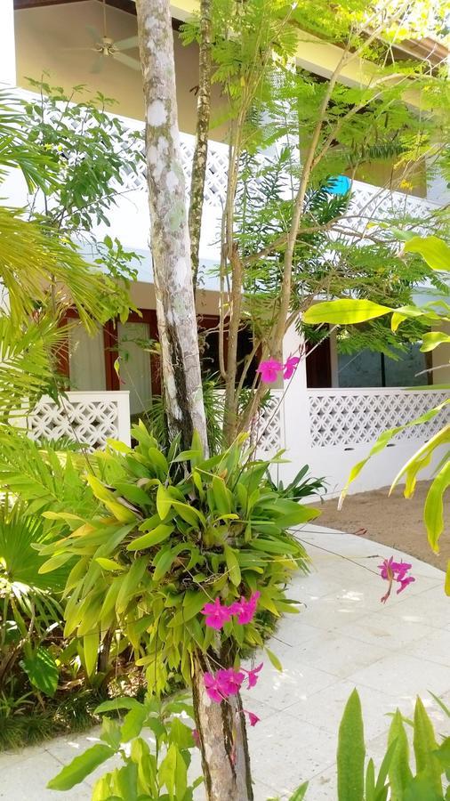Idle Awhile Beach Hotel Negril Esterno foto